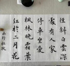 毛筆書(shū)法專(zhuān)用高級套裝文房四寶全套專(zhuān)業(yè)款一套國畫(huà)成人初學(xué)者入門(mén)練習寫(xiě)毛筆字練字書(shū)畫(huà)大狼毫兼毫專(zhuān)業(yè)級軟筆 【專(zhuān)業(yè)款】書(shū)法毛筆15支裝/送筆簾+毛氈+教學(xué)視頻 曬單實(shí)拍圖