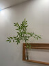 智新木王櫻桃木墻上置物架壁掛層板客廳電視墻面裝飾實(shí)木展示架一字隔板 櫻桃木，精磨邊，500*100*40mm 曬單實(shí)拍圖