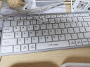 双飞燕（A4TECH） FX51超薄轻音商务便携剪刀脚巧克力键盘笔记本电脑有线78键Type-C插拔 FX51白色    无光 实拍图