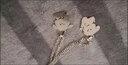 QMXD閨蜜項(xiàng)鏈一人一半兔項(xiàng)鏈姐妹小貓小狗吊墜送閨蜜情人節(jié)信物二人款 抱星星小狗一對(duì) 曬單實(shí)拍圖