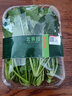 北菜園有機(jī)菠菜赤根250g有機(jī)蔬菜【進(jìn)店多樣加購(gòu)】火鍋食材涮菜 曬單實(shí)拍圖