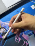 Apple/苹果【教育优惠版】Pencil (第一代)  包含转换器适用iPad mini5/iPad Air3/iPad 10.2英寸(第九/十代) 实拍图