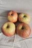 桃李村山東煙臺紅富士蘋(píng)果棲霞冰糖心脆甜新鮮水果整箱過(guò)節送禮生鮮 精選果 2斤嘗鮮裝 曬單實(shí)拍圖