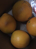 產(chǎn)地直發(fā)正宗贛南臍橙江西特產(chǎn)橙子整箱新鮮當(dāng)季榨汁水果現(xiàn)摘現(xiàn)發(fā) 2斤3-4個260-300g大果試吃裝 產(chǎn)地直銷 正宗贛南臍橙 現(xiàn)摘現(xiàn)發(fā) 曬單實(shí)拍圖