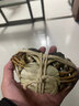 【活蟹】大閘蟹現(xiàn)貨鮮活特大全母蟹活螃蟹河蟹生鮮禮盒裝水產(chǎn)直發(fā) 全母蟹2.5-2.8兩【10只裝】 曬單實(shí)拍圖