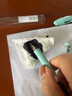 施耐德（Schneider）小學(xué)生鋼筆初學(xué)者兒童開(kāi)學(xué)季必備用品正姿練字筆男女孩三四年級入門(mén)墨囊鋼筆EF尖童趣-綠色恐龍 曬單實(shí)拍圖
