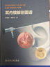 正版 耳內(nèi)鏡解剖圖譜 內(nèi)鏡下耳外科的解剖理念、方法和結構 英漢對照 內(nèi)容全面 宋躍帥 龔樹生 主編 曬單實拍圖