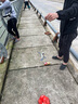 SHIMANO禧瑪諾22款邦湯姆TAM路亞竿超輕量化遠投竿翹嘴黑坑專(zhuān)用釣竿魚(yú)桿 1.91m /163ML2槍柄2節 曬單實(shí)拍圖