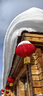 三針保暖內(nèi)衣女士棉質(zhì)磨毛圓領(lǐng)打底棉毛衫秋冬季修身美體秋衣秋褲套裝 [圓領(lǐng)]煙紫色-男 2XL 曬單實拍圖