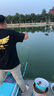 阿盧c38黑坑鯉魚(yú)漂醒目加粗尾蘆葦浮漂60cm高靈敏度草魚(yú)鰱鳙翹嘴浮標 LPC38-17目蘆葦本色細尾 4號(吃鉛約3.62克) 曬單實(shí)拍圖