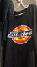 Dickies童裝男童夏裝套裝2025新款兒童純棉短袖兩件套中小童薄款衣服 曬單實拍圖