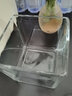 冰秋玻璃方缸 透明玻璃花盆 正方形 水培透明多功能 玻璃盆子水培容器 12*12方缸（破損包賠） 中等 曬單實(shí)拍圖