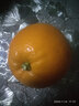 楚食尚湖北興山 昭君故里  三峽臍橙 自然成熟 現(xiàn)摘現(xiàn)發(fā) 新鮮水果橙子 倫晚臍橙 5斤 單果170-200g 曬單實拍圖