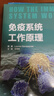 內(nèi)分泌系統(tǒng)工作原理 第2版 圖書 曬單實(shí)拍圖