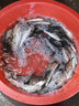 老G釣魚(yú)添加劑小藥黑坑野釣果酸天熱開(kāi)口 果酸2號（100克） 曬單實(shí)拍圖