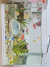 森森（SUNSUN）熱彎魚(yú)缸免換水懶人生態(tài)魚(yú)缸小型水族箱白玻璃金魚(yú)缸水草缸 熱彎超白38cm裸缸 曬單實(shí)拍圖
