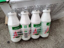 娃哈哈AD鈣奶220ml*20大瓶整箱哇哈哈兒童早餐飲料品批發(fā) 220mL4瓶 曬單實(shí)拍圖