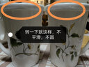 金嵐玉 骨瓷馬克杯個(gè)性水杯創(chuàng)意杯子牛奶杯水杯可愛(ài)韓版簡(jiǎn)約咖啡杯 香榭麗舍-420毫升V杯+蓋子 曬單實(shí)拍圖