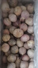 澤鮮達(dá)云南獨(dú)頭蒜新鮮紫皮大蒜頭紅皮獨(dú)蒜大果農(nóng)家自種珍珠紫皮獨(dú)頭蒜 3斤 裝 曬單實(shí)拍圖