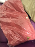 GAP男女裝2025春季新款小熊刺繡短袖T恤休常規polo衫美版708395 西瓜紅 L 美碼 XL亞洲碼185/104A 曬單實(shí)拍圖