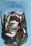 魚誘青魚餌料專攻大物野釣青魚神器秋冬季黑坑專用不開口顆粒餌料通殺 買2送1【80%釣友選擇】日釣千斤 曬單實(shí)拍圖