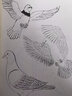 白描從入門到精通（繪客出品） 曬單實拍圖