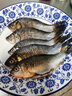 漁水依微山湖原生態(tài)鮮活大鯽魚淡水新鮮小土鯽魚鯽瓜子燉湯孕婦滋補(bǔ)河鯽 大號鯽魚（每斤2-3條） 5斤 曬單實(shí)拍圖