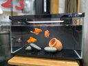 小米米家智能鱼缸小型客厅办公室桌面一键换水远程喂食超白玻璃生态缸 小米鱼缸【过滤套装】 实拍图