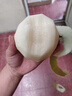 【順豐】湖北百里洲黃花梨砂梨現(xiàn)摘新鮮脆甜雪梨子沙梨翠冠梨 順豐快遞 5斤 曬單實(shí)拍圖