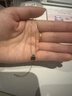 法蔻超好質(zhì)感超火法式孔雀石小方塊歐美項(xiàng)鏈女生日禮物送女友老婆 金色鏈子+黑色吊墜 曬單實(shí)拍圖