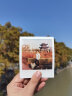 宝丽来（Polaroid） 拍立得相机相纸Onestep+ NOW+彩色itype型胶片一次成像相纸 白边彩色【23年10月】 实拍图