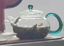 美斯尼  小茶壺玻璃功夫泡茶壺 加厚耐熱玻璃泡茶器功夫茶具 玉吟功夫茶壺 曬單實(shí)拍圖