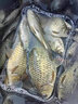 力丸路滑成品線組套裝磯竿滑漂遠(yuǎn)投釣組路亞線組專用大物魚(yú)線套裝 100米路滑成品線組(3.0號(hào)) 曬單實(shí)拍圖