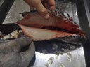 甄樽全自動殺魚機商用片魚機大型開肚開背去鱗宰魚機黑魚羅非魚鰱魚殺魚機開背機魚片機菜市場酒店 豪華去鱗開背或開肚【2-8】可選 曬單實拍圖