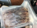 魷魚(yú)須冷凍新鮮現切魷魚(yú)須章魚(yú)足鮮活速凍燒烤鐵板海鮮水產(chǎn)食材 精品裝【真魷魚(yú) 鮮活現切】 1斤 曬單實(shí)拍圖