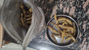 可欽小泥鰍干貨海味油炸不辣咸香去內(nèi)臟不苦批發(fā)魚干批發(fā)河源特產(chǎn)即食 2斤油炸泥鰍干去內(nèi)臟不苦 曬單實(shí)拍圖