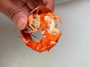 東山島九節(jié)蝦干即食特大號(hào)斑節(jié)對(duì)蝦干蝦仁干烤蝦海產(chǎn)干貨孕婦零食 大號(hào)九節(jié)蝦干半斤（約30只） 曬單實(shí)拍圖