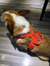 TRUELOVE狗狗牽引繩胸背帶小中大型犬背心式寵物遛狗繩鏈子外出用品防爆沖 橘色 L-胸圍69-81cm建議18-30kg選擇 曬單實(shí)拍圖