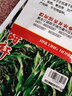 農之子（NONGZHIZI）甜高粱種子甜桿種籽小青皮北方甘蔗水果食用春季甜脆皮 棵棵甜甜桿種子 10g×2/早熟抗病 曬單實(shí)拍圖
