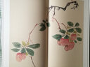 十竹齋書(shū)畫(huà)譜（全16冊） 曬單實(shí)拍圖