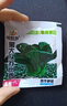 上海青小青菜四季油菜種子籽種蔬菜種籽孑冬天大全矮腳黑葉蘇州青 A原種上海青種子1包 曬單實(shí)拍圖