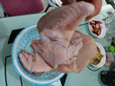 當(dāng)天現(xiàn)殺雞翅新鮮雞全翅農(nóng)家散養(yǎng)草雞翅膀三節(jié)翅燒烤鹵水食材雞肉 雞全翅【3斤】 曬單實拍圖