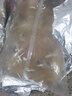 大草魚苗淡水養(yǎng)殖半斤一斤20厘米活體皖魚螺螄青魚苗可食用觀賞冷水魚小魚苗特大草魚魚苗批發(fā) 優(yōu)質草魚苗 35條10-13厘米(加3條防損) 曬單實拍圖