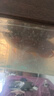 百因美（BIOZYM）龍魚(yú)硝化細菌魚(yú)缸高濃縮液體消化細菌觀(guān)賞魚(yú)水族用品淡海水通用 龍魚(yú)魟魚(yú)硝化細菌1000ml 曬單實(shí)拍圖