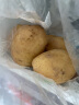 家美舒达山东农特产 滕州土豆 洋芋 2.5kg 新鲜蔬菜  烧烤食材 实拍图