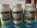 谷思康 1瓶/100粒 谷思康苦瓜蕎麥桑葉膠囊  輔助降谷思康血糖店推薦套裝更劃算 購2發(fā)3 三瓶(基礎款) 曬單實(shí)拍圖