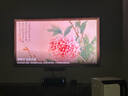 海信激光電視 星光S1 純享版2026款 100英寸 大屏護(hù)眼 100L7Q國家補(bǔ)貼98-100 L6NS升級款 曬單實(shí)拍圖