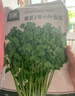北蔬 小葉香菜種子種苗濃香芫荽四季蔬菜籽 寒圣1號小葉香菜種子250g 曬單實(shí)拍圖