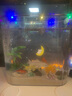 天然水晶砂魚缸原生底砂造景裝飾石頭水族箱水草沙烏龜用鐵膽沙子 天然水晶砂1-2毫米5斤 曬單實拍圖