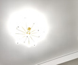 Yeelight易來led全光譜吸頂燈客廳臥室接入米家APP靈犀3.0C400【包安裝】 曬單實(shí)拍圖